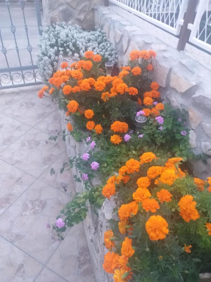 La Vita Apartment Sibenik Bagian luar foto