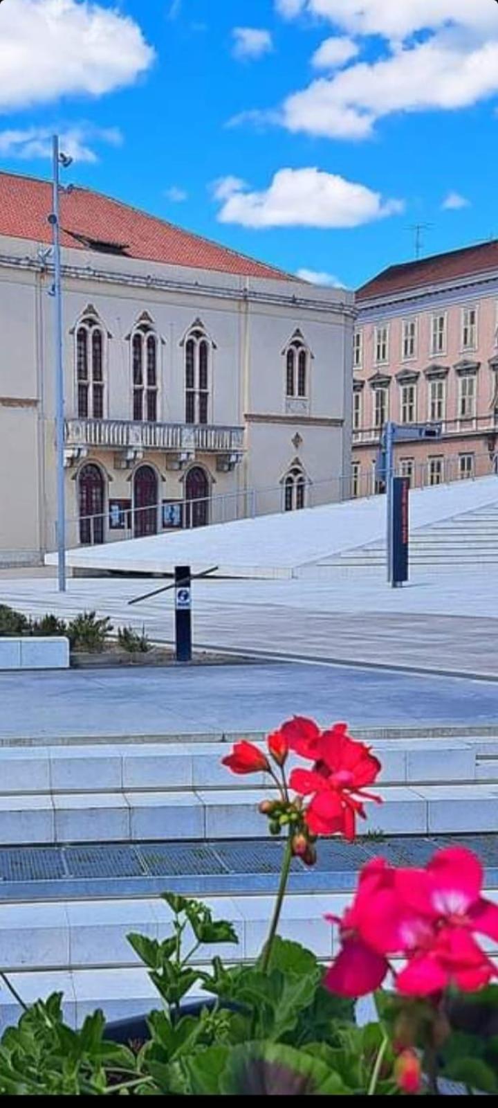 La Vita Apartment Sibenik Bagian luar foto